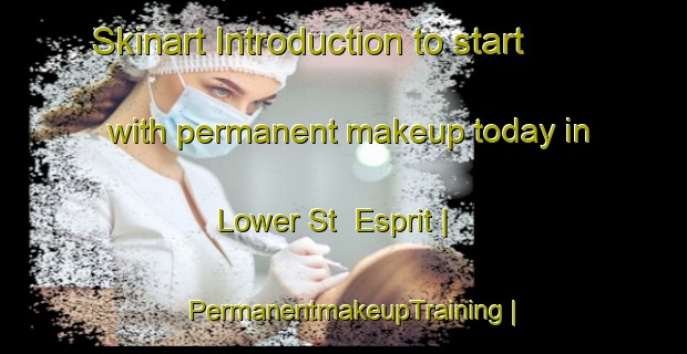 Skinart Introduction to start with permanent makeup today in Lower St  Esprit | PermanentmakeupTraining | PermanentmakeupClasses | SkinartTraining-Canada